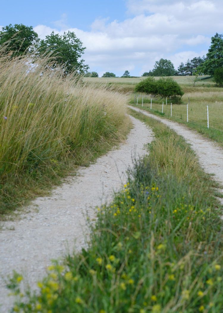 Pilgern nach Tönisvorst (c) pfarrbriefservice