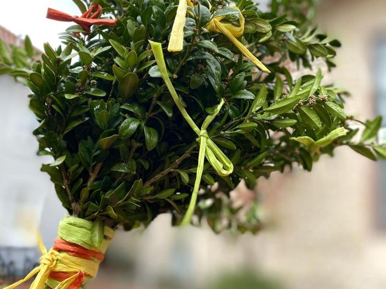 Angebote zur Palmweihe in unseren Gemeinden