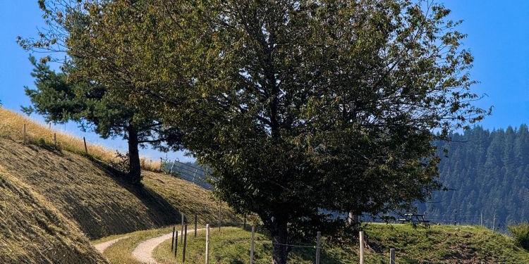 Reisesegen