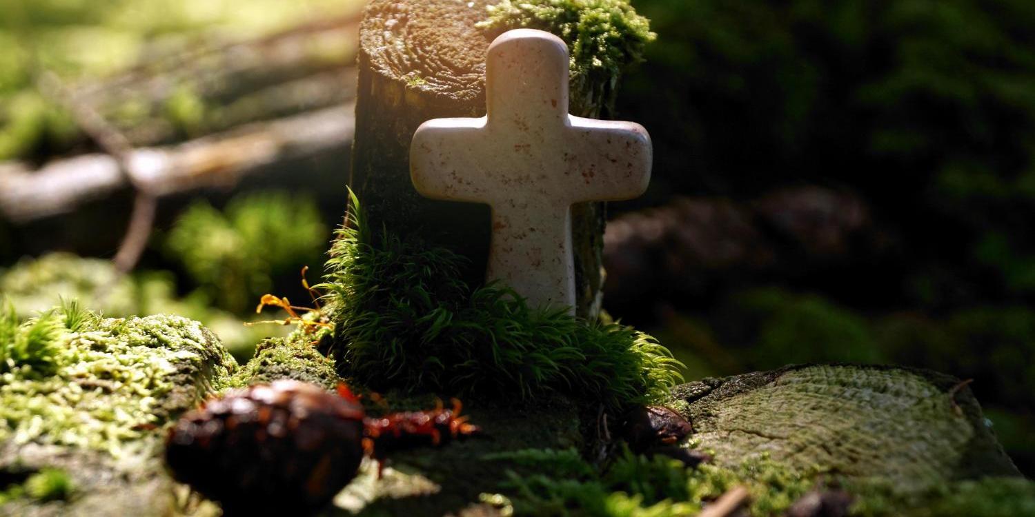 Allerheiligen-Kreuz-2025