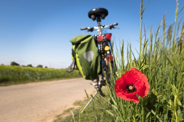 Radwallfahrt (c) pfarrbriefservice
