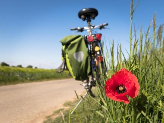 Radwallfahrt nach Kevelaer (c) pfarrbriefservice