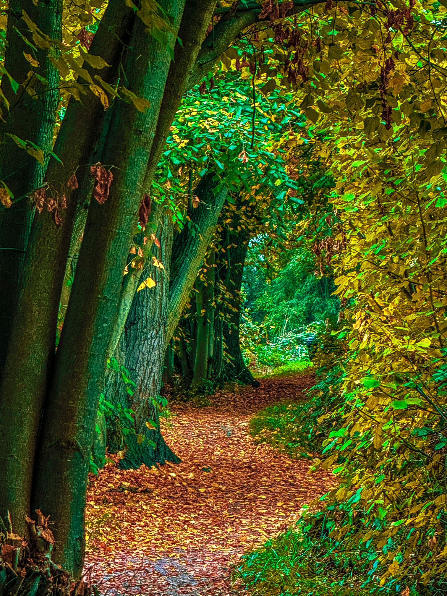 DB6CC3DC-4DE0-430D-8A17-1281FFB51825 (c) cs