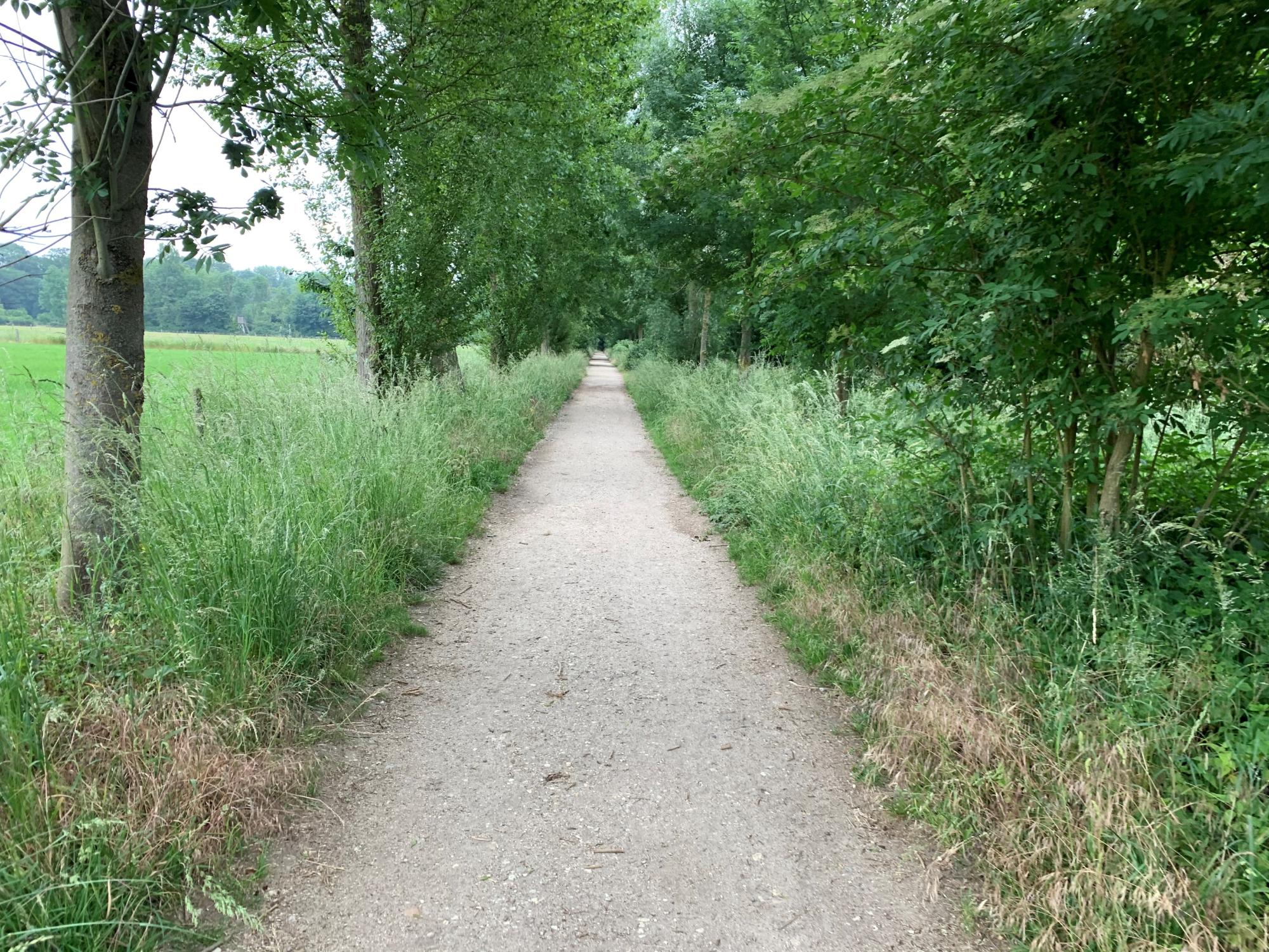 auszeit im wald