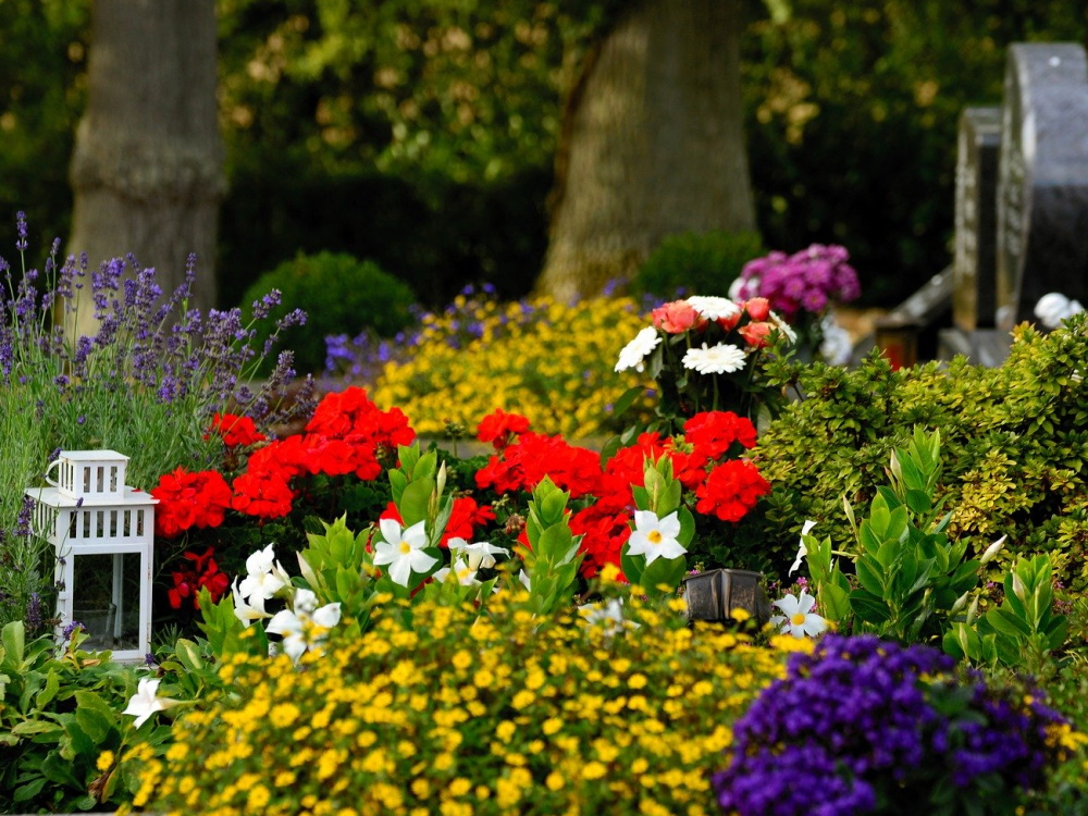 Gräber mit Blumen (c) pixabay.com